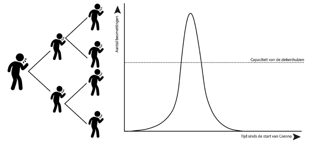  width=