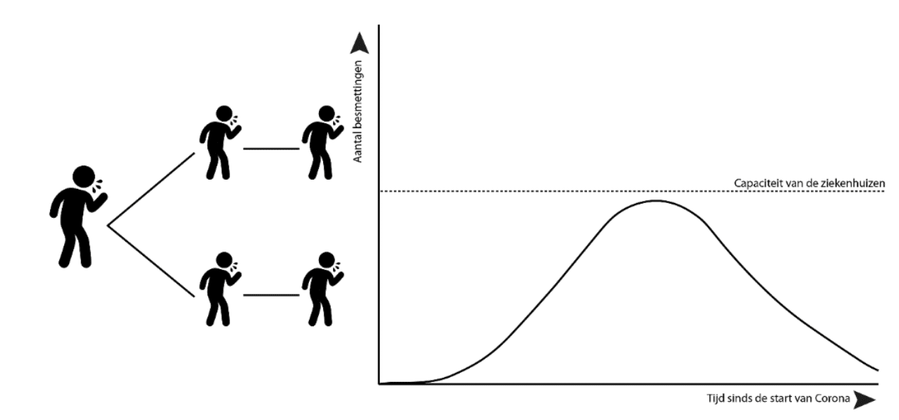  width=